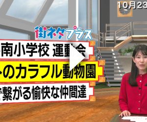 ニットのカラフル動物園を開催しました